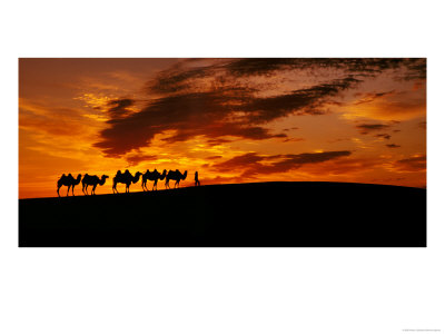 Camel Caravan Silhouette, Silk Road, China by Keren Su Pricing Limited Edition Print image