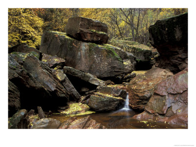 Middle Emerald Pool Stream With Velvet Ash Leaves, Zion National Park, Utah, Usa by Jamie & Judy Wild Pricing Limited Edition Print image