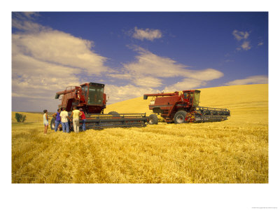 Family Taking Break At Harvest With Combines, Palouse, Washington, Usa by Terry Eggers Pricing Limited Edition Print image