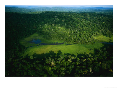 An Aerial View Of Langoue Bai, A Waterhole Carved Out By Elephants by Michael Nichols Pricing Limited Edition Print image