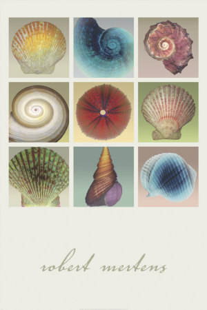 Shell Collection by Robert Mertens Pricing Limited Edition Print image