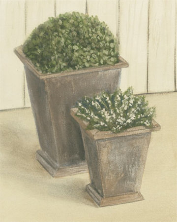 Plants In Pots by David Col Pricing Limited Edition Print image