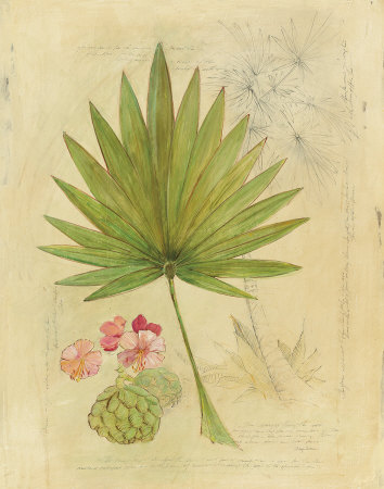 Botanical Journal Ii by Avery Tillmon Pricing Limited Edition Print image