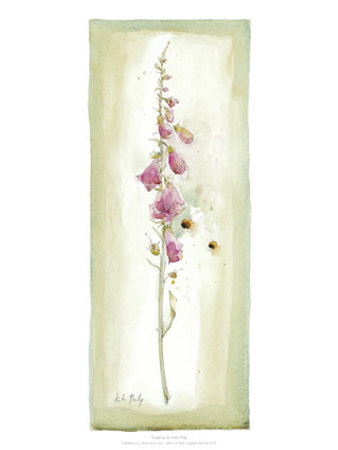 Foxglove by Kate Philp Pricing Limited Edition Print image
