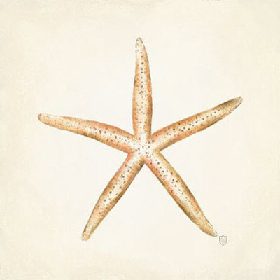 Starfish Discovery by Lauren Hamilton Pricing Limited Edition Print image