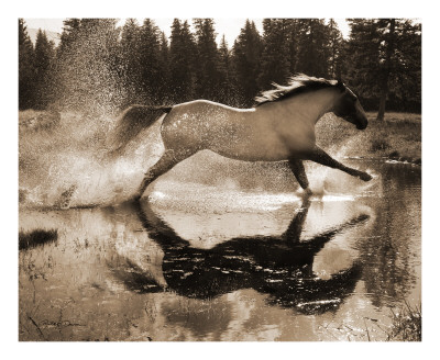 Running On Water Iii by Robert Dawson Pricing Limited Edition Print image