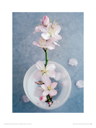 Bouquet Parfume by Amelie Vuillon Pricing Limited Edition Print image