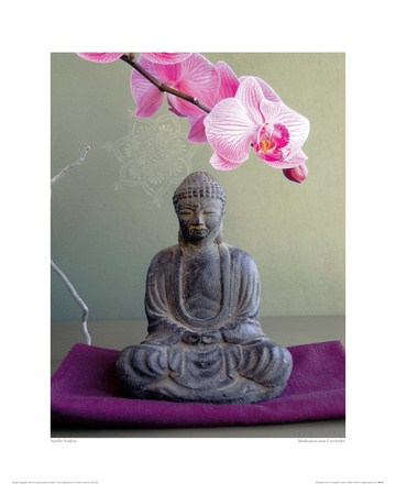 Meditation Sous L'orchydee by Amelie Vuillon Pricing Limited Edition Print image