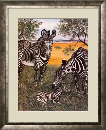 Circle Of Life Ii by Dianne Krumel Pricing Limited Edition Print image