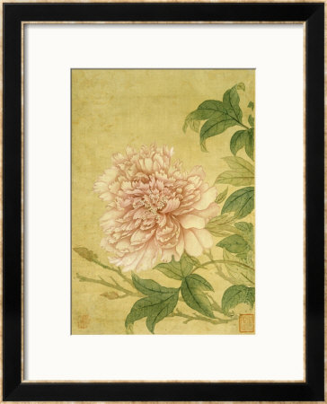 Peony, From Album Of Flower Paintings by Yun Shou-P'ing Pricing Limited Edition Print image