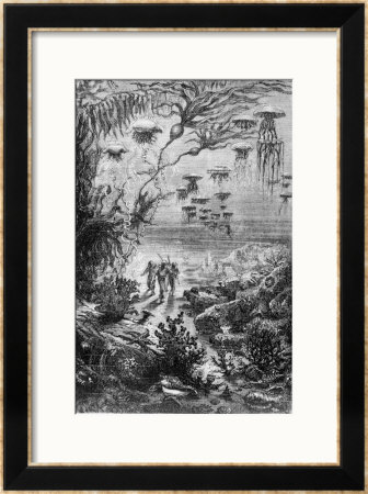 Illustration From 20,000 Leagues Under The Sea by Alphonse Marie De Neuville Pricing Limited Edition Print image