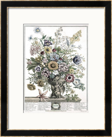 November by H. Fletcher Pricing Limited Edition Print image