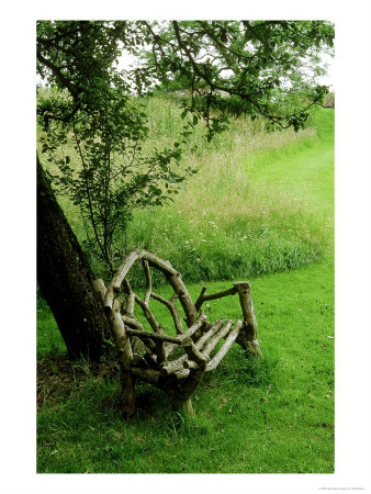 Rustic Wooden Bench Beneath Old Malus (Apple) Tree, Meadow In View At Cooks Farm Garden, Somerset by Mark Bolton Pricing Limited Edition Print image