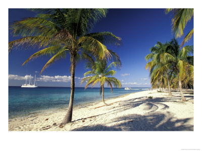 Tropical Beach On Isla De La Juventud, Cuba by Gavriel Jecan Pricing Limited Edition Print image