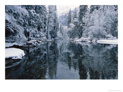 Snow-Covered Trees Reflected On The Surface Of The Merced River by Marc Moritsch Pricing Limited Edition Print image