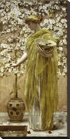 Azaleas, C. 1867-1868 by Albert Moore Pricing Limited Edition Print image