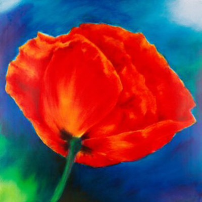 Nachtmohn Ii by Thomas Aeffner Pricing Limited Edition Print image