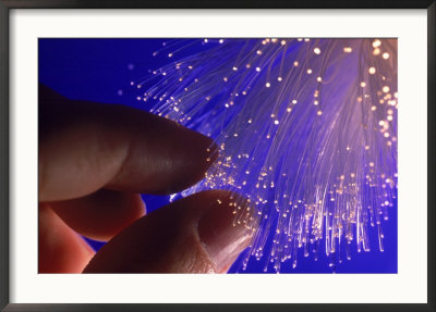 Fiber Optics by Matthew Borkoski Pricing Limited Edition Print image
