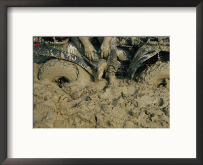 Motocross Race At Saint Joe State Park by Randy Olson Pricing Limited Edition Print image
