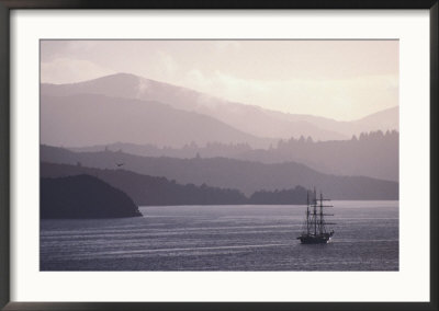 Spirit Of New Zealand Sails Through Marlborough Sounds From Queen Charlotte Drive, New Zealand by David Wall Pricing Limited Edition Print image