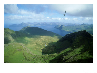 View From Slaettaratindur, Faroe Islands by Richard Packwood Pricing Limited Edition Print image