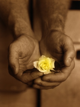 Man Holding Yellow Rose by Marianne Mccoy Pricing Limited Edition Print image