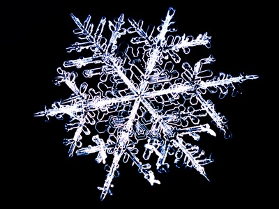 Snowflake by Richard Walters Pricing Limited Edition Print image