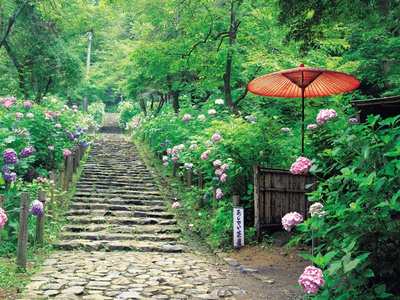 Stairs Climbing Through A Garden by Yoshio Shinkai Pricing Limited Edition Print image