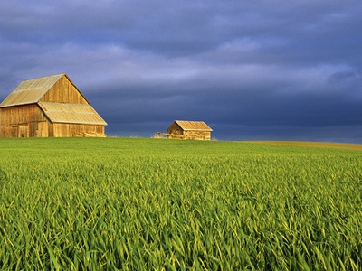 Wooden Houses In Middle Of Green Fields With Dark Clouds by Chuck Haney Pricing Limited Edition Print image