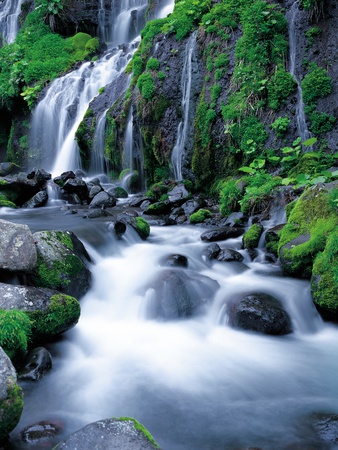 Waterfall In Forest by Koichi Murata Pricing Limited Edition Print image