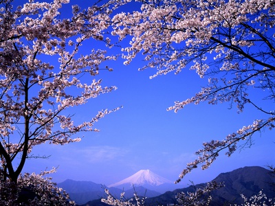 Mt. Fuji by Shusei Kishida Pricing Limited Edition Print image
