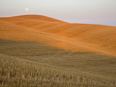 Italy, Tuscany, Full Moon Over Harvested Fields by Fotofeeling Pricing Limited Edition Print image
