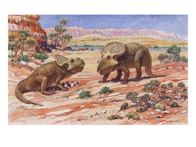 Ancient Protoceratops Were Egg-Laying Dinosaurs by National Geographic Society Pricing Limited Edition Print image