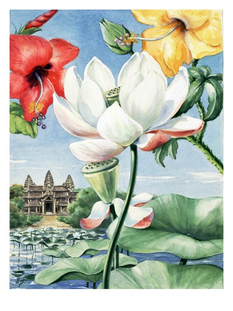 Rose-Of-China Hibiscus, East Indian Lotus, And Yellow Hibiscus by National Geographic Society Pricing Limited Edition Print image