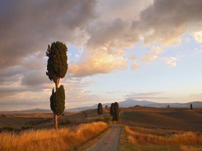 Orcia Valley In Summer by Fabio Muzzi Pricing Limited Edition Print image
