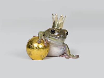 The Frog Prince And Gold Ball, Studio Shot by Paul Hudson Pricing Limited Edition Print image