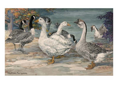 A Painting Of Canadian Geese, Embden Geese And Gray African Geese by Hashime Murayama Pricing Limited Edition Print image