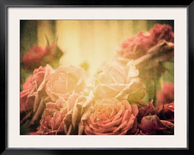 The Rose Collection #3 by Tracy Edgar Pricing Limited Edition Print image