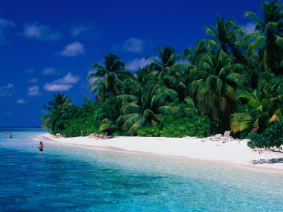 Tropical Beach Veymandhoo, Thaa, Maldives by Michael Aw Pricing Limited Edition Print image