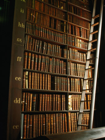 Bookshelf In Long Room Of Historic Trinity College, Dublin, Ireland by Martin Moos Pricing Limited Edition Print image