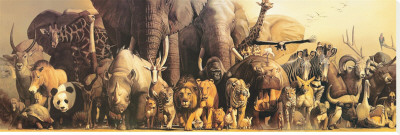 Noah's Ark by Haruko Takino Pricing Limited Edition Print image