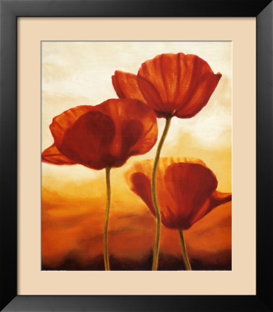 Poppies In Sunlight I by Andrea Kahn Pricing Limited Edition Print image