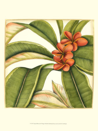 Tropical Blooms And Foliage I by Jennifer Goldberger Pricing Limited Edition Print image