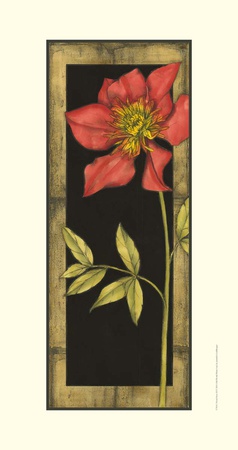 Floral Inset Ii by Jennifer Goldberger Pricing Limited Edition Print image