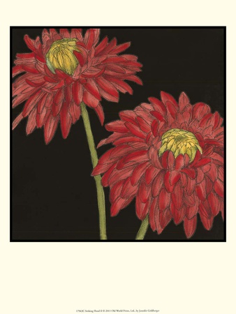 Striking Floral Ii by Jennifer Goldberger Pricing Limited Edition Print image