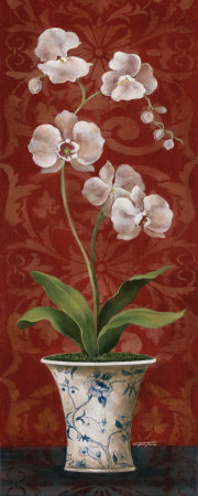 Organic Orchids I by Eugene Tava Pricing Limited Edition Print image
