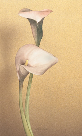 Calla I by Kory Fluckiger Pricing Limited Edition Print image
