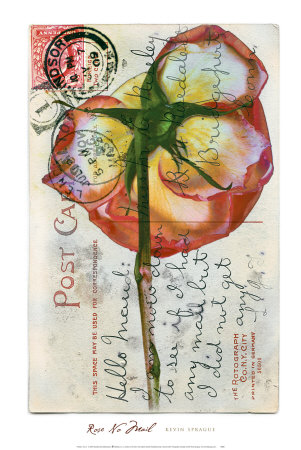 Rose No Mail by Kevin Sprague Pricing Limited Edition Print image