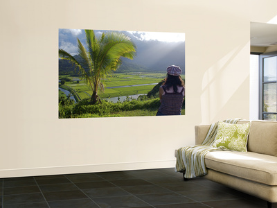 Taro Fields And Hanalei River On The North Shore by Jerry Alexander Pricing Limited Edition Print image