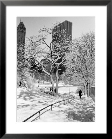 Central Park After A Snowstorm by Alfred Eisenstaedt Pricing Limited Edition Print image